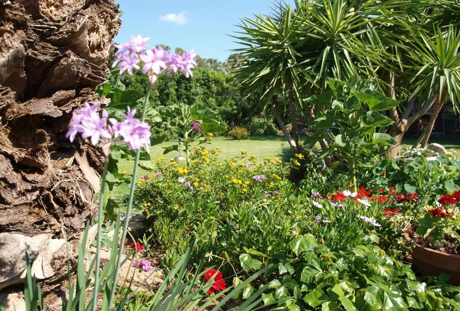 B&B Nel Giardino In Fiore Olia Speciosa 0*,  Italien