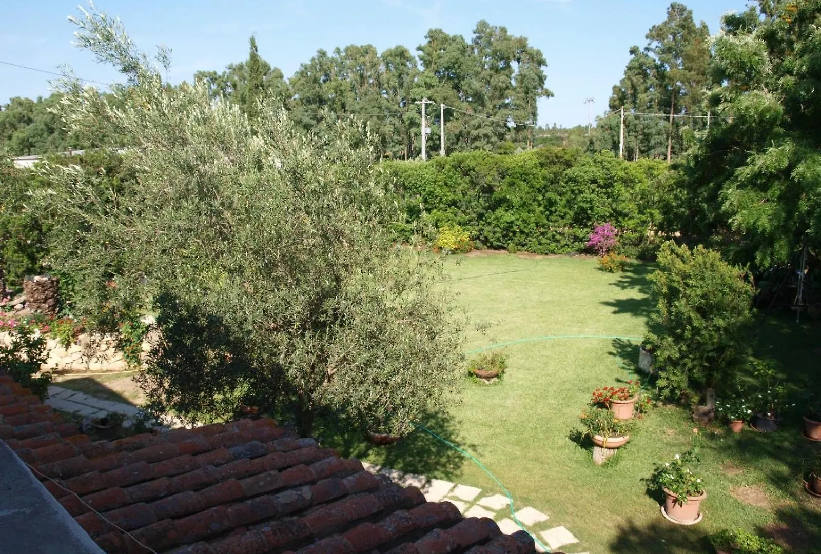 Frühstückspension B&B Nel Giardino In Fiore Olia Speciosa Italien