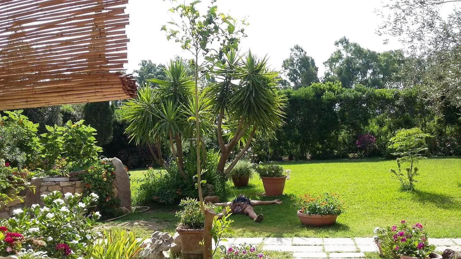 B&B Nel Giardino In Fiore Olia Speciosa Frühstückspension